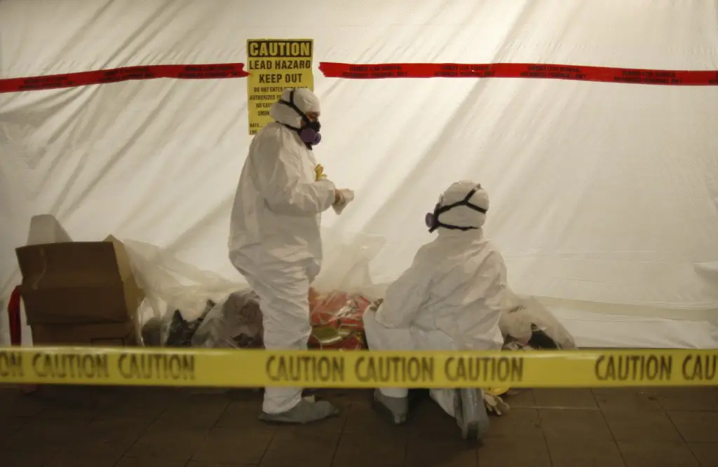 Environmental Mold Remediation